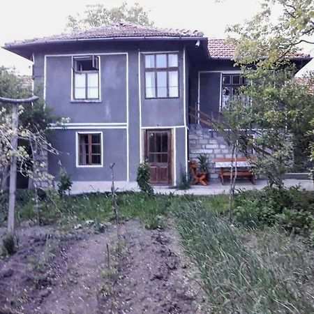Vila Beefree Gorsko Slivovo Exteriér fotografie