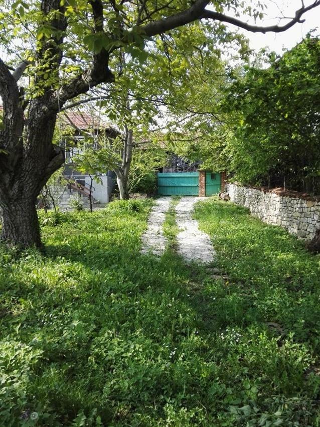 Vila Beefree Gorsko Slivovo Exteriér fotografie